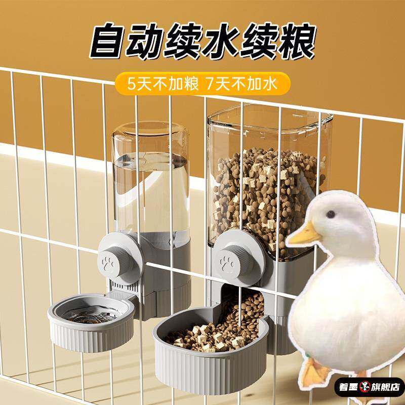 柯尔鸭自动喂食器饮水机鸭子碗食盆粮碗悬挂式小宠防打翻喝水的碗