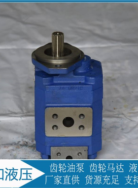 P124B182XDZA05-54PBZA02-1泊姆克双联齿轮泵