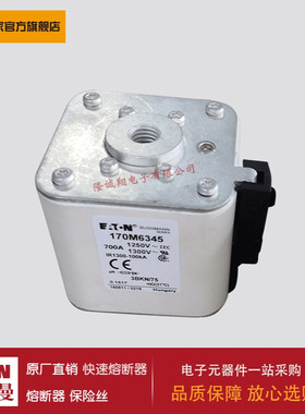 熔断器170M6345 170M6346 170M6347 170M6348 170M6349 170M3438
