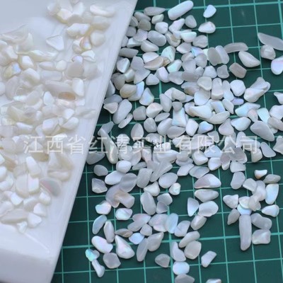 美甲贝壳不规则海洋超薄波纹白色碎石片饰品海贝薄片人鱼幻彩贝壳