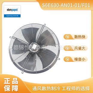F01 德国ebmpapst楼宇空调风机S6E630 AN01