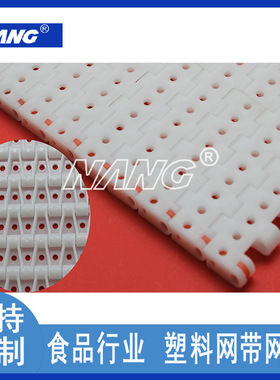 NANG蓝歌厂家直供白色食品级模组网带 塑料网带节距12.7模块网链