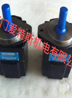 丹尼逊DENISON叶片泵T6CCM B28 B10 1L23 D111油泵现货