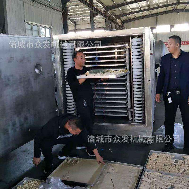 家牛羊肉冻干机 厂宠1-30平物粮食品冷干冻干燥机 红粉方形枣冻机
