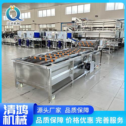 多功设能大型蔬菜清洗机 辣葱椒韭菜鼓泡清洗备小463香喷淋洗菜