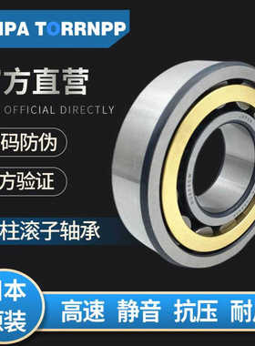 JNPA TORRNPP日本N207EM N208EM N209EM N210EM N211EM轴承