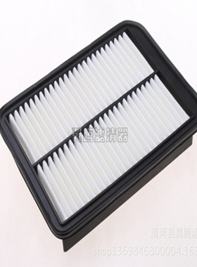 批发 腾翼 C50空气滤清器汽车滤芯专用保养配件1109110XJZ08A