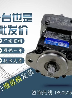 丹尼逊DENISON油泵T6CCW017/006/1R00/C100/1R01/1R02/1R03叶片泵