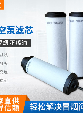 LEYBOLD莱宝真空泵过滤器SV40B油雾分离器排气过滤器卖家包邮