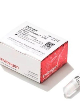 thermo lipo2000（脂质体2000）转染试剂11668019