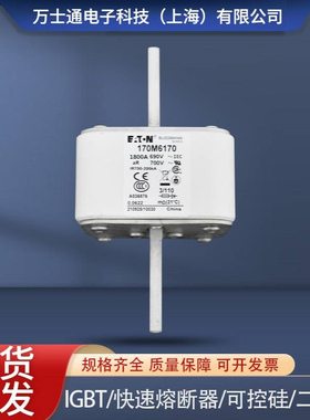 170M6167 170M6168 170M6169 170M6170 170M6171全新熔断器现货