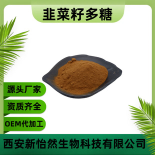 韭菜籽粉 包邮 植物萃取 现货 韭菜籽浓缩粉 韭菜籽多糖25%