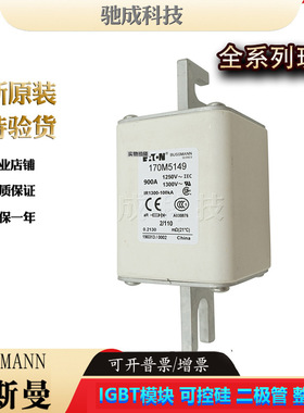 巴斯曼170M5149 170M5150 170M6138全新熔断器现货供应量大价优