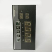 智能巡检报警仪LDDB-338/08D上海上润仪表