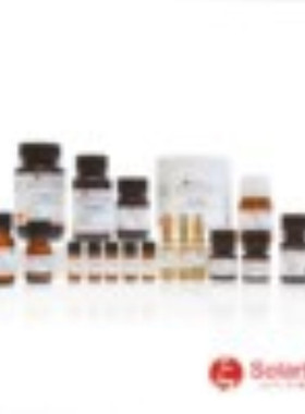 IE0210 β-雌二醇  Estradiol 固醇性激素 树突棘  突触 急性解离