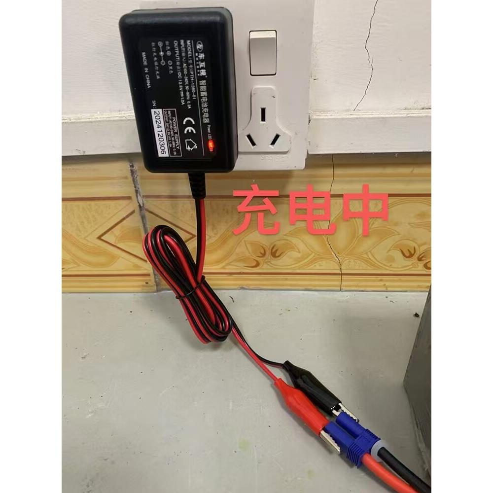 摩托电动车蓄电池瓶用充电器装备智能防反接保护自停铅酸12V安全