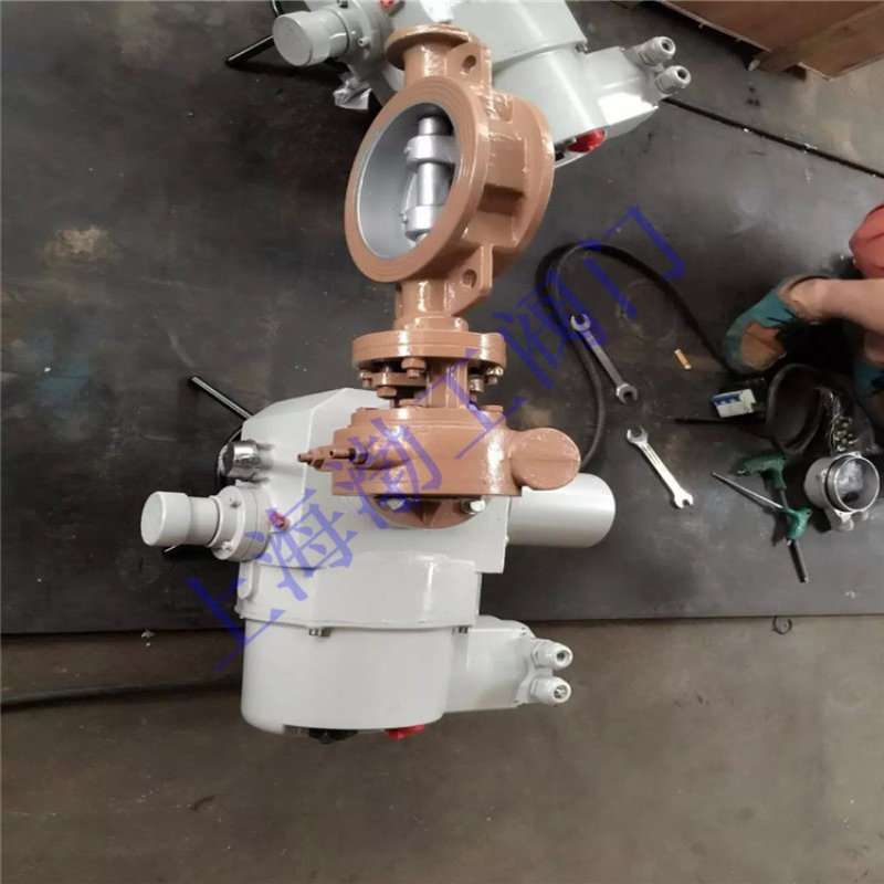 D971F-10Z 不锈钢板对夹连接电动蝶阀 开关调节电动碟阀