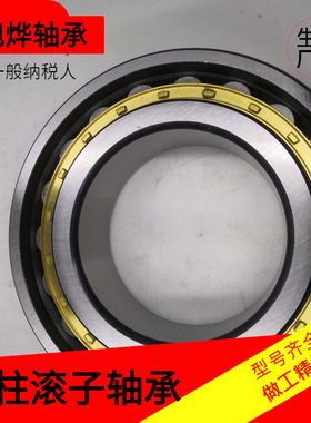 二类圆柱滚子轴承 N2226EM N2224EM 2222 2220 厂家现货直供