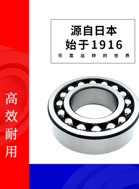 日本1307 1308 1309 1310 1311 1312 1313K双列调心球轴承