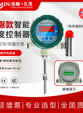 防爆型温度声光报警仪开关智能数显控制仪一体式双输出温度感测器
