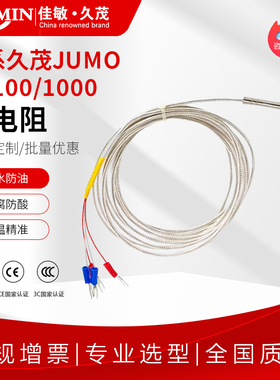 德国JUMO久茂芯PT100温度传感器PT1000铂热电阻 铂电阻探头防水型