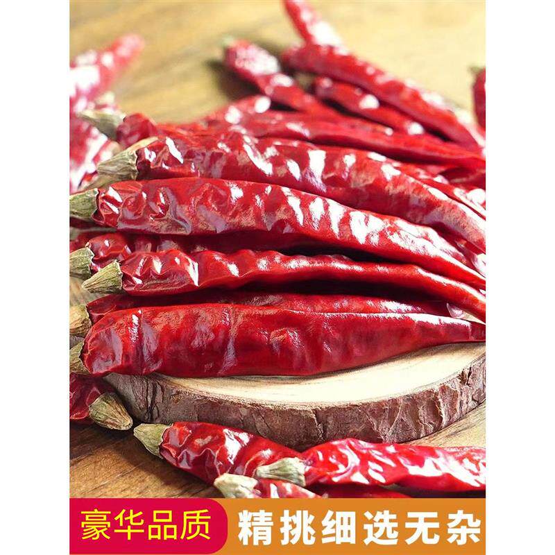 新货印度魔鬼椒干辣椒超辣