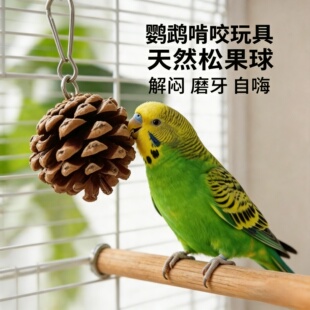 鹦鹉玩具用品啃咬磨牙嘴玩具