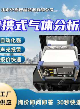 矿用本安型气体分析仪 实时显示 YHQ11.1矿用本安型气体分析仪
