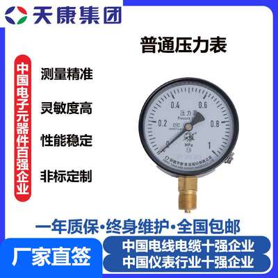 安徽天康集团普通压力表径向高温蒸汽水压液位压力表