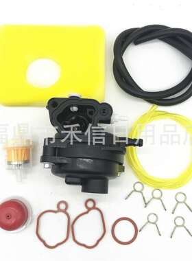 799583 593261化油器组合B&S 595656 591979 591160 08P502发动机