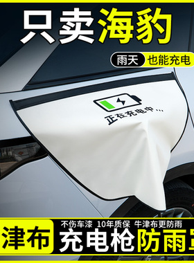 比亚迪海豹dmi/ev充电枪防雨罩新能源电车汽车充电口防水罩盖遮雨