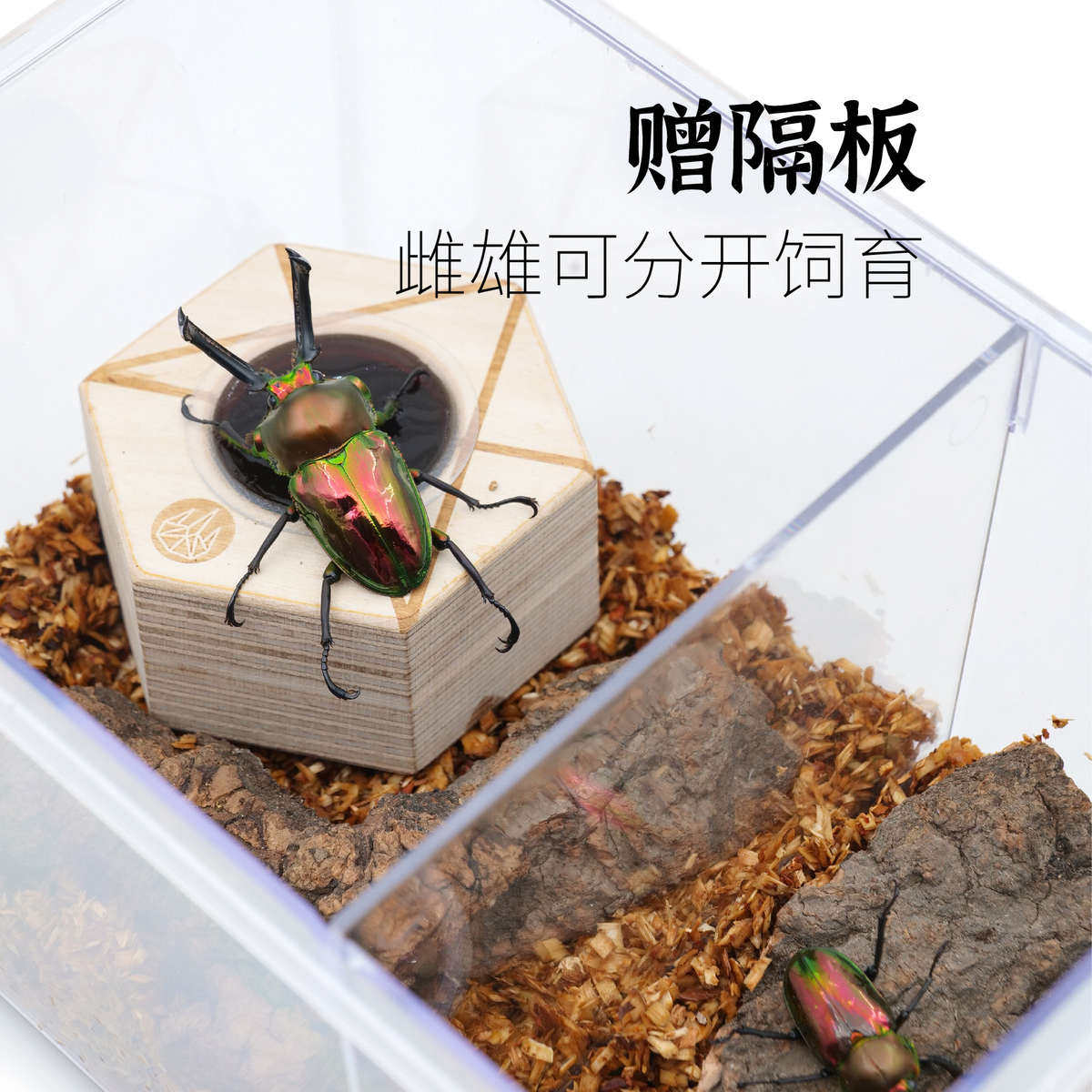 牧野虫社甲虫独角仙饲养盒饲养箱锹甲爬虫箱幼虫兜虫锹形虫昆虫,宠物/宠物食品及用品,爬宠缸/箱,淘宝优惠券,粉丝福利购,淘宝优惠卷
