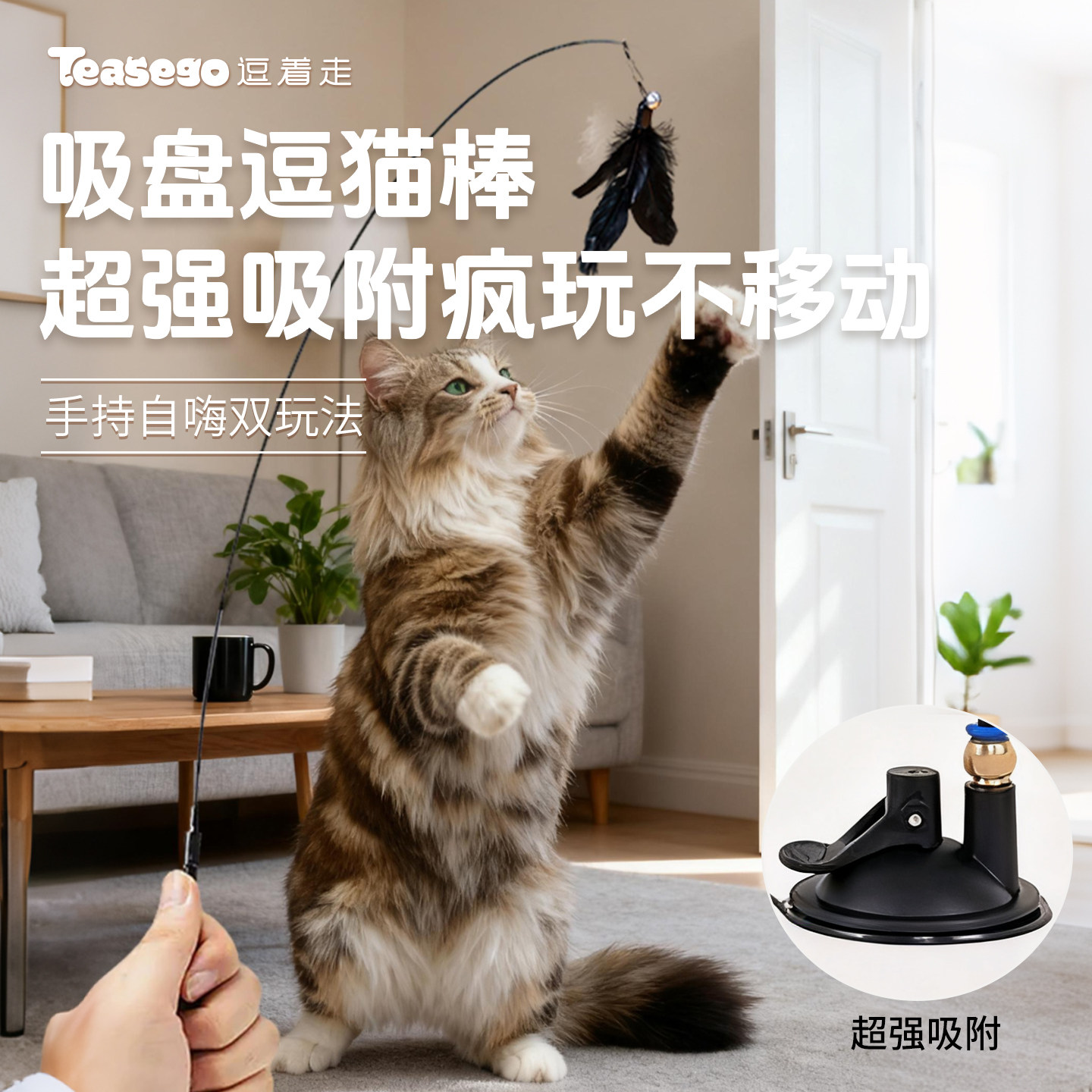 猫咪玩具吸盘式逗猫棒解闷自嗨逗猫棒可替换头小猫专用耐啃咬用品,宠物/宠物食品及用品,逗猫棒,淘宝优惠券,粉丝福利购,淘宝优惠卷