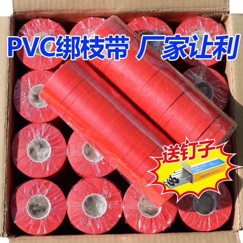 大卷绑枝胶带绑枝机专用番茄加厚钉子黄瓜葡萄农用绑带捆绑带红色