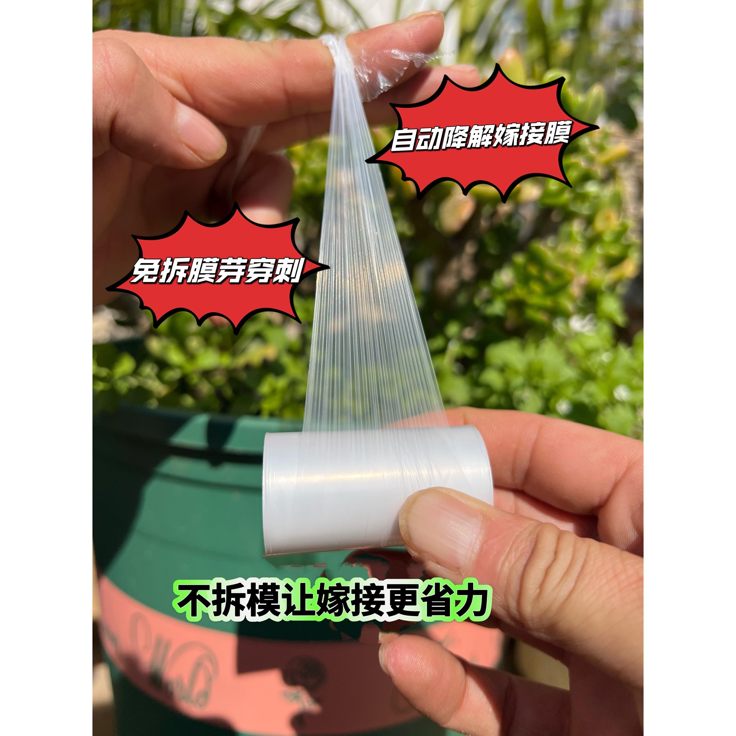 超薄嫁接膜免拆打结非糯米纸嫁接薄膜农用果树苗木嫁接塑料膜地膜
