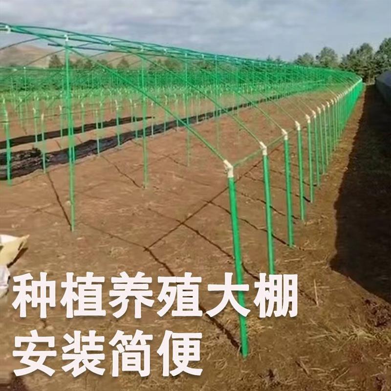 农用大棚骨架支撑架温室大棚支架玻璃钢骨架种植养殖遮阳简易全套