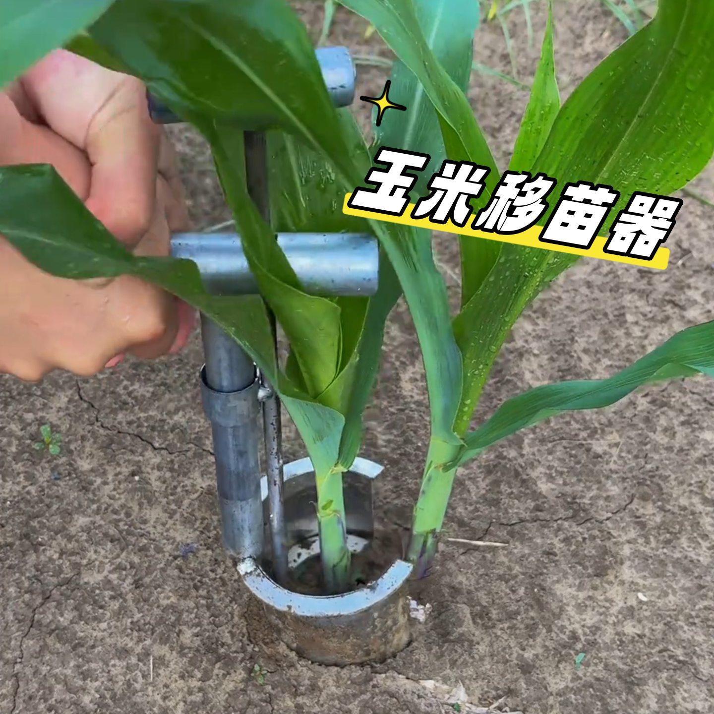 移苗神器泥土打洞器不锈钢玉米栽苗打孔器西瓜辣椒大棚种植移栽机