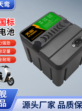 新国标48V锂电池20A星恒天能同款电瓶通用二轮电动车全新原装电池