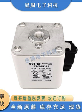 全新保险丝熔断器170M5366 170M5371 170M5374 170M5388 170M5389