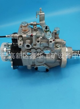 销售VE泵总成22100-5D230 221005D230 196000-41911 19600041911