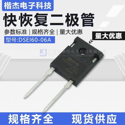 IXYS艾赛斯60A600V快恢复二极管DSEI60-06A全新TO-247-2脚DSE160