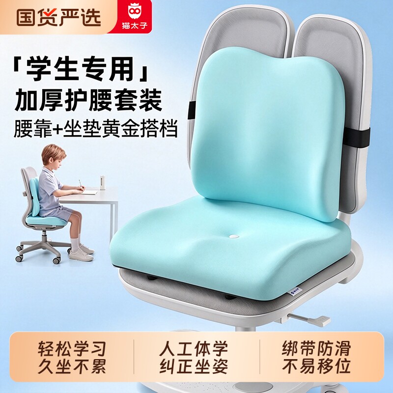 猫太子坐垫椅子腰靠垫屁垫防屁股疼学生座垫久坐不累神器护腰背JS图片