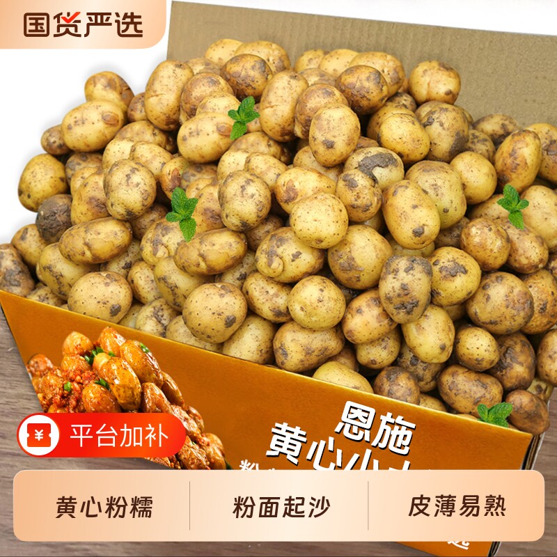恩施黄心小土豆高山土壤现挖洋芋迷你马铃薯2026新鲜小土豆5斤