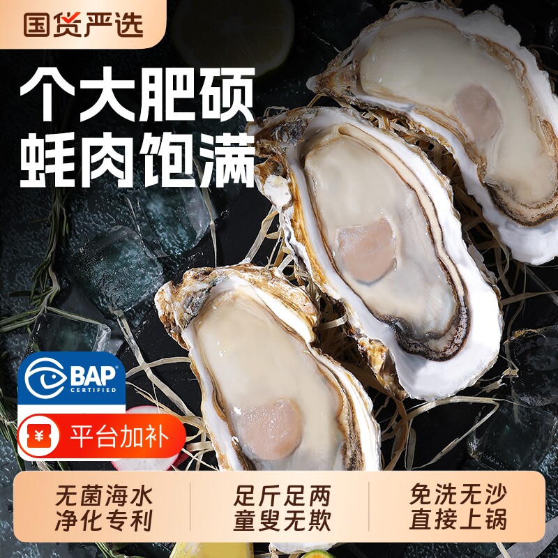 贝司令乳山鲜活生蚝净重5斤海蛎子牡蛎肉新鲜海鲜特大号顺丰到家