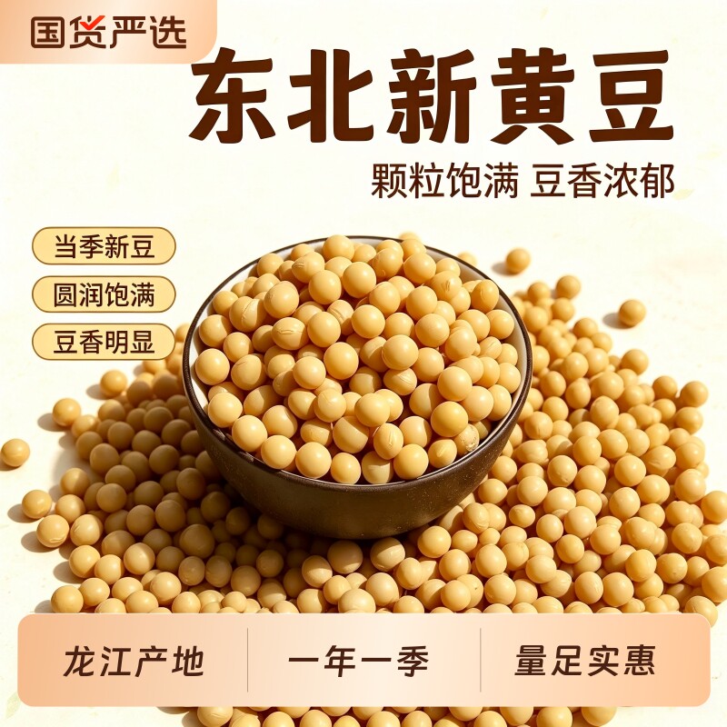 东北黄豆打豆浆专用豆子非转基因土黄豆批发农家自种黄豆芽新鲜
