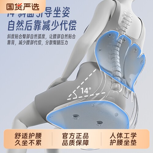 OES护腰坐姿椅人体工学支撑垫