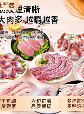 六和鸭货生鲜鸭脖鸭头组合鸭掌鸭翅鸭锁骨板肠熟食冷冻食品新鲜