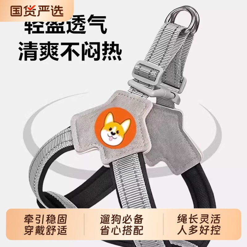 Y型防护胸背带狗狗牵引绳图片