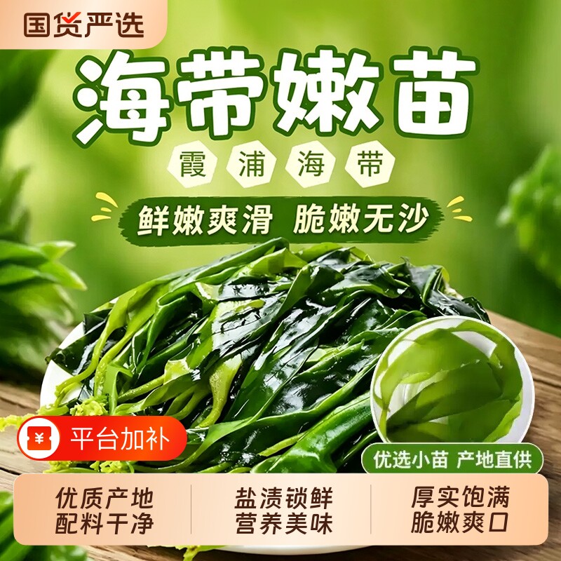 海带苗嫩苗霞浦新鲜一级盐渍海带嫩苗嫩芽火锅天然商用裙带菜海鲜