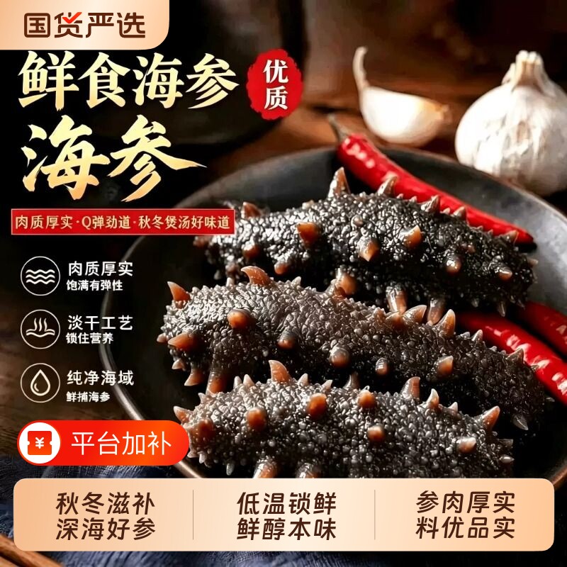 鲜食海参大连鲜活辽参非干货非淡干刺参真空独立包装海参滋补无冰
